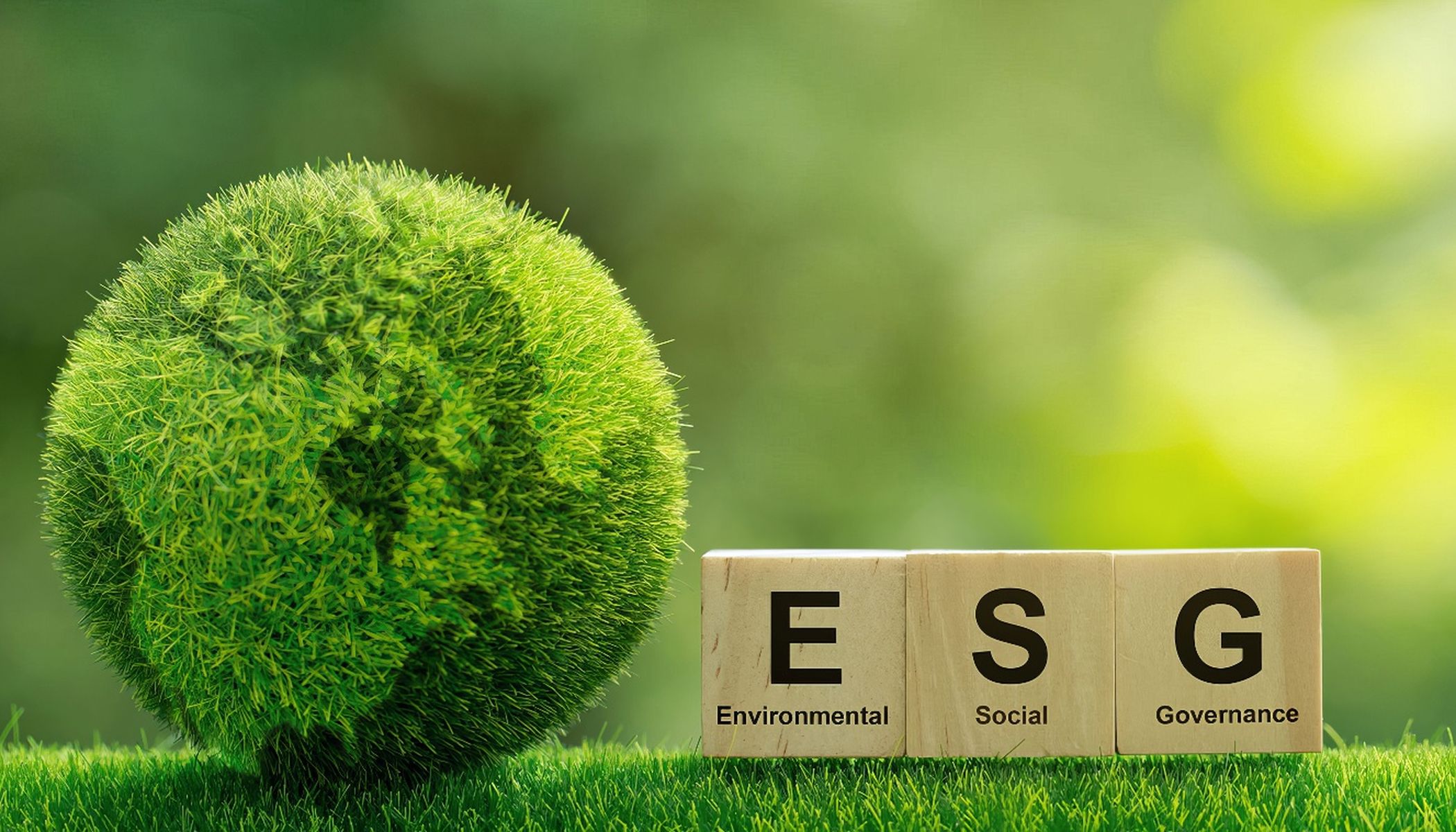 A small, round bush, reminiscent of a globe, stands in the lush grass. Next to it are three wooden blocks with the letters "E", "S" and "G" - the letters for "Environmental", "Social" and "Governance" - against a blurred green background.