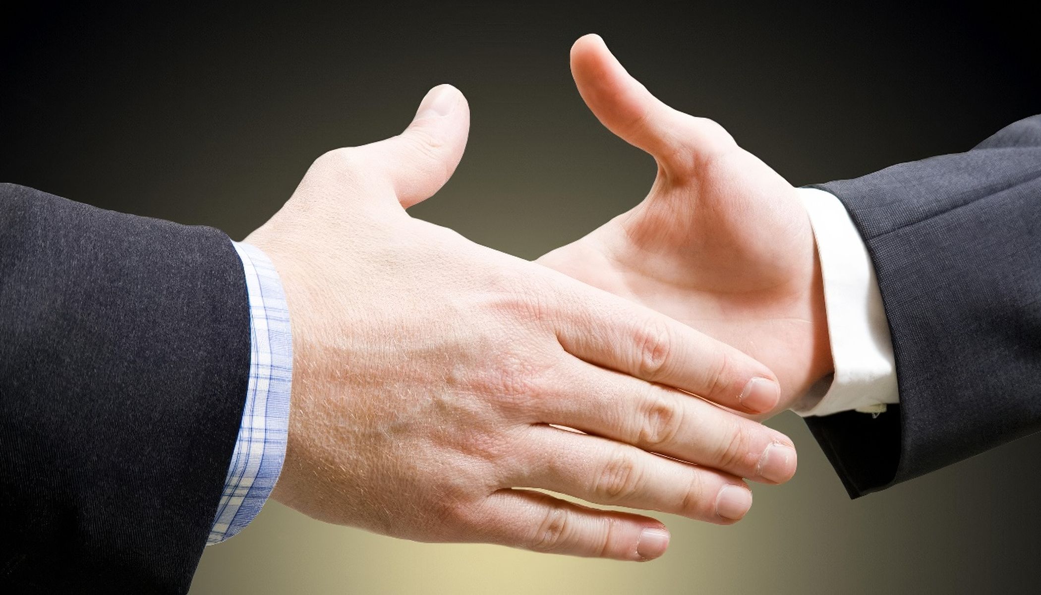 Two people shake hands in close-up. Both are wearing business attire: one is wearing a dark suit, the other a striped shirt. The handshake takes place near a window with a view of greenery.